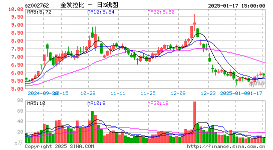 金发拉比