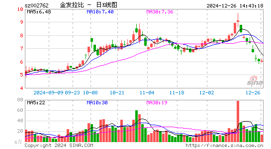 金发拉比