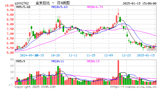 金发拉比