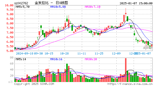 金发拉比