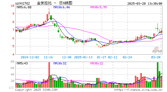 金发拉比