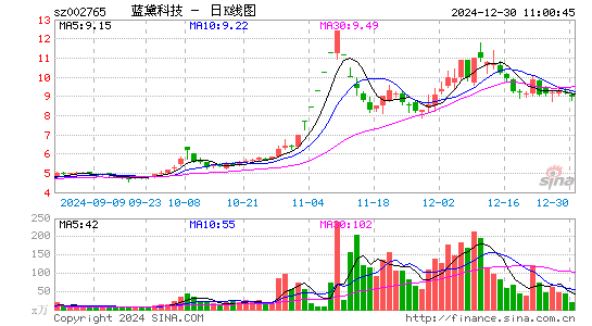 蓝黛科技