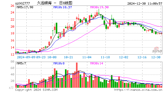 久远银海