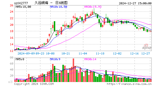 久远银海