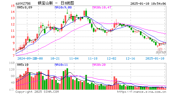 银宝山新