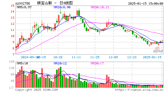 银宝山新