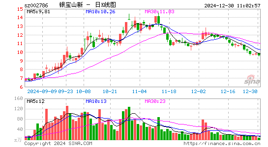 银宝山新