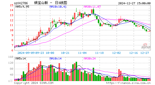 银宝山新