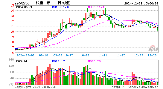 银宝山新