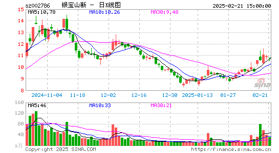 银宝山新