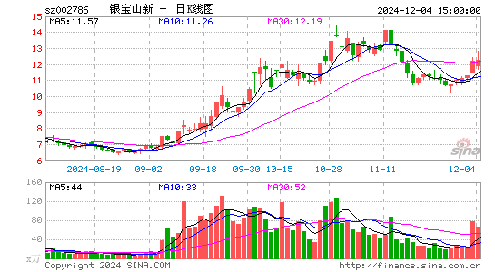 银宝山新