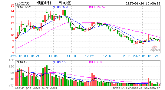 银宝山新