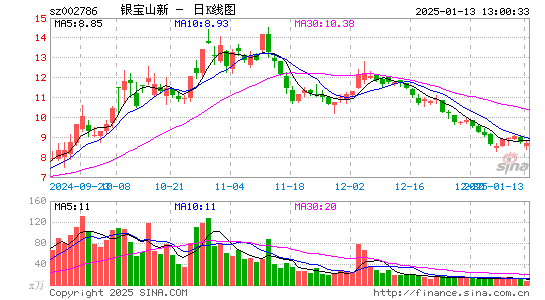 银宝山新