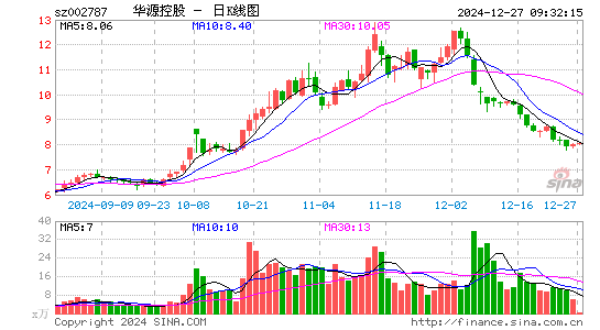 华源控股