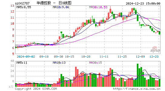 华源控股