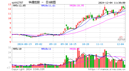 华源控股