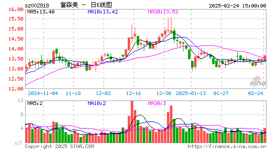 富森美