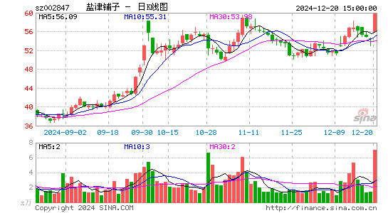 盐津铺子