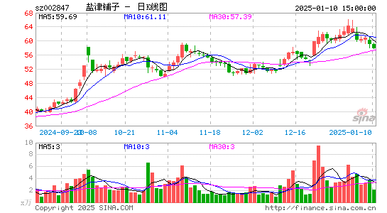 盐津铺子