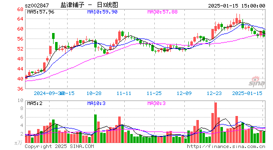 盐津铺子