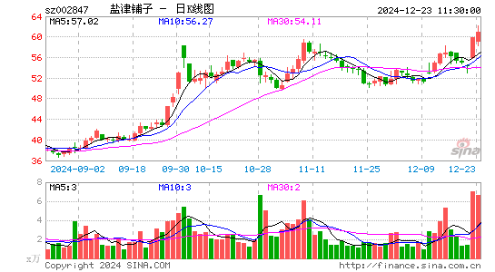 盐津铺子