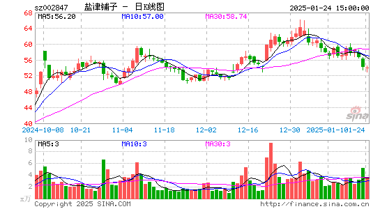 盐津铺子