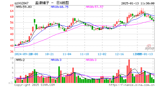 盐津铺子