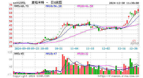 麦格米特