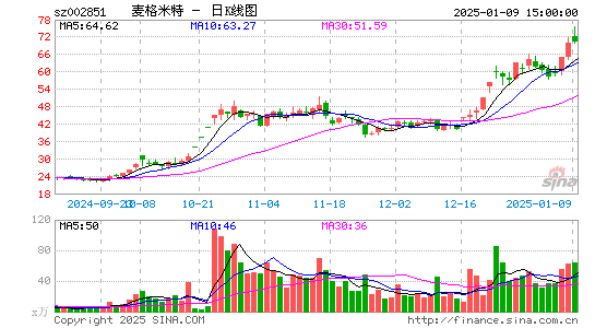 麦格米特