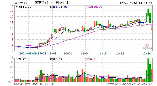 美芝股份