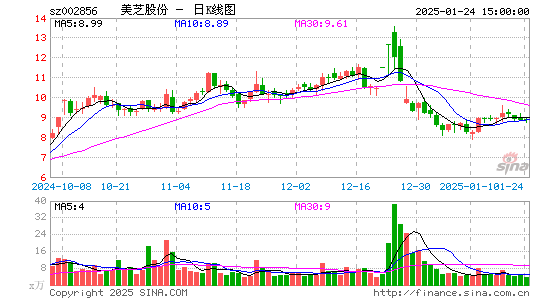 美芝股份