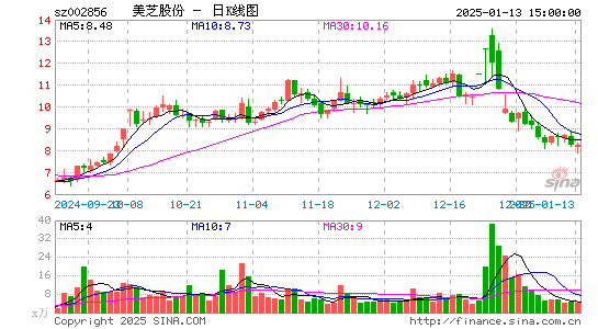 美芝股份