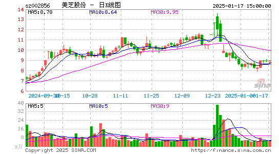 美芝股份