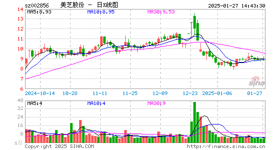 美芝股份