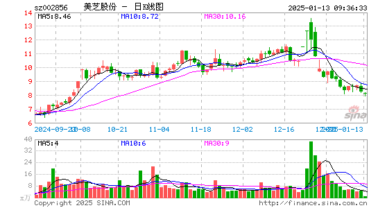 美芝股份