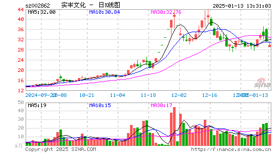 实丰文化