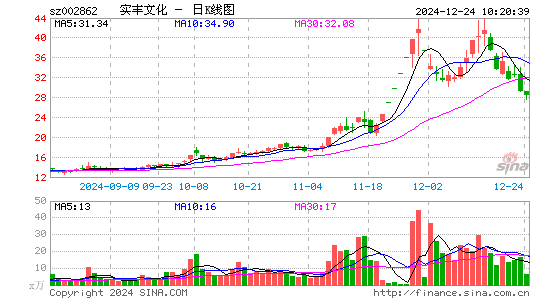 实丰文化