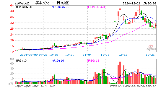 实丰文化