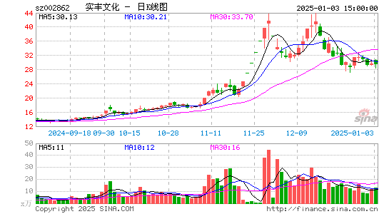 实丰文化