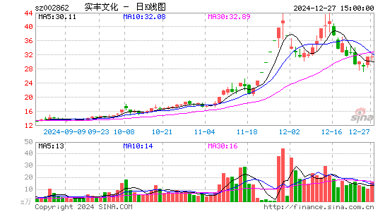 实丰文化