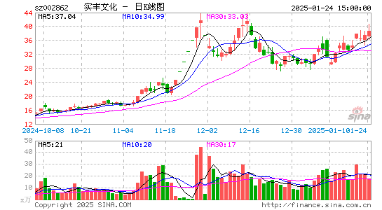 实丰文化