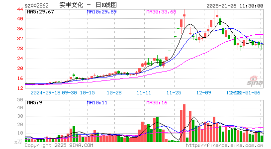 实丰文化