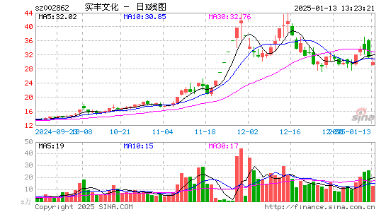 实丰文化