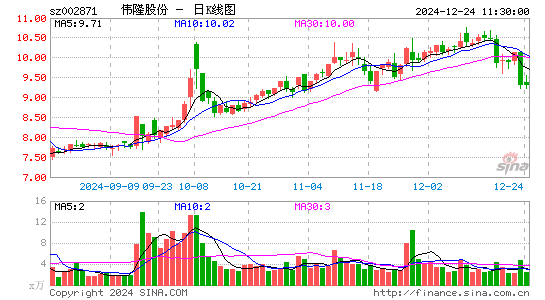 伟隆股份