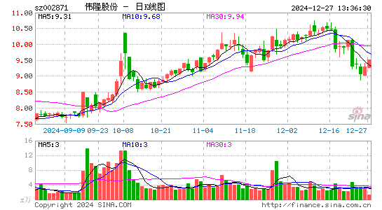 伟隆股份