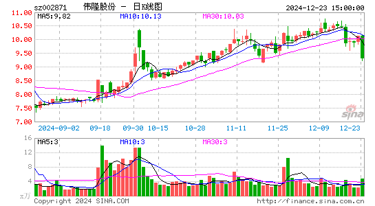 伟隆股份