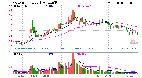 金龙羽