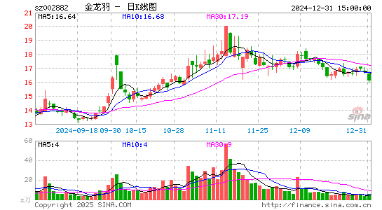 金龙羽