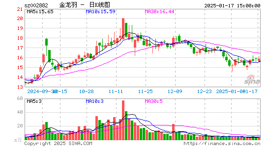 金龙羽