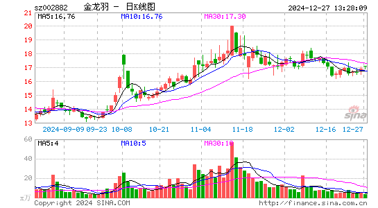 金龙羽